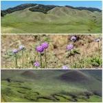 LENNUPA: Fabled fairyland linking Tedim and Falam